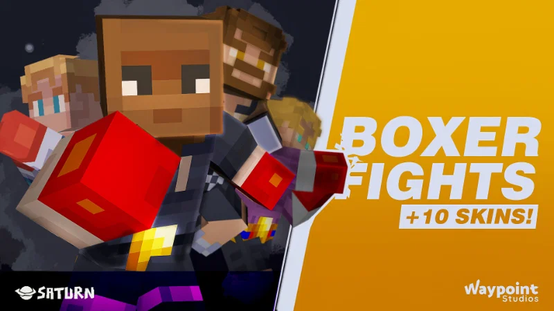 Boxer Fights