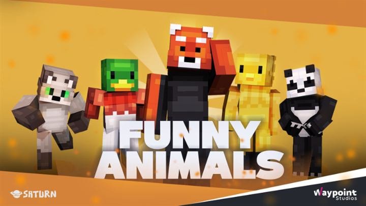Funny Animals